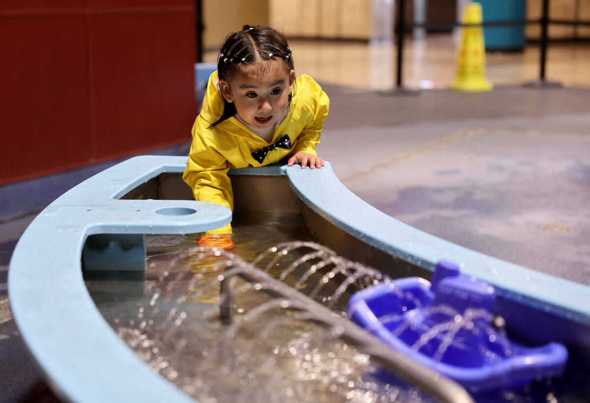 Catalina Cuenca, de 2 años, de Las Vegas, explora la exhibición ‘Mundo del Agua' en el Disc ...