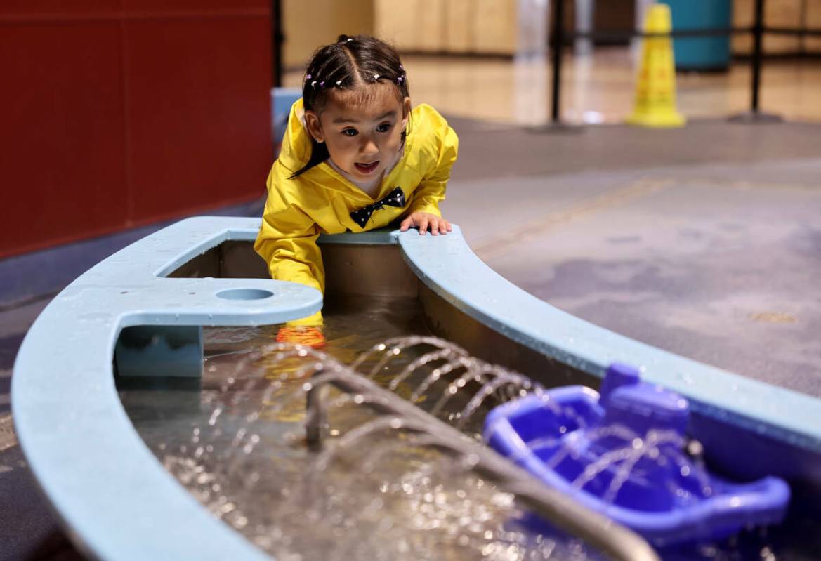 Catalina Cuenca, de 2 años, de Las Vegas, explora la exhibición ‘Mundo del Agua' en el Disc ...