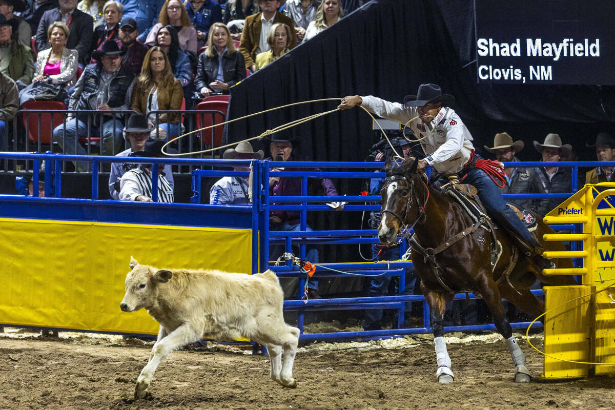 Shad Mayfield observa su pantorrilla en Tie-Down Roping durante la acción del día 6 de la NFR ...